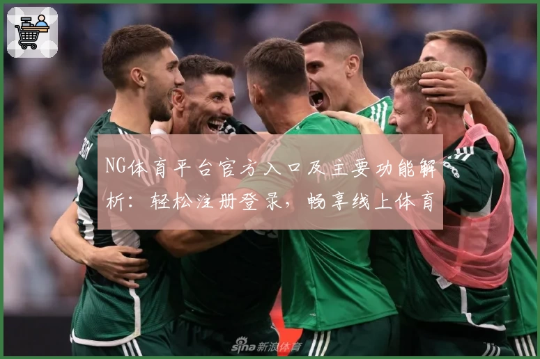 NG体育平台官方入口及主要功能解析：轻松注册登录，畅享线上体育互动新体验